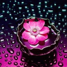 Схема вышивки «цветок в росе»