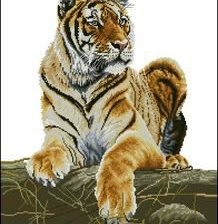 Схема вышивки «тигр»