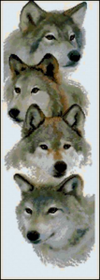 волки - предпросмотр