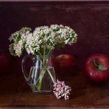 Схема вышивки «№377824»