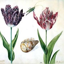 Схема вышивки «тюльпаны из книги 2»