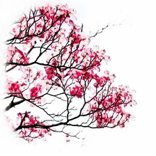 Схема вышивки «Japanese Tree»