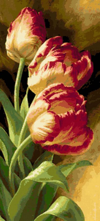 тюльпаны - цвети - предпросмотр