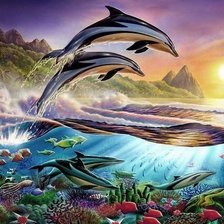 дельфины