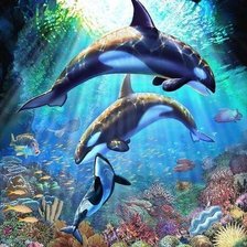 Схема вышивки «косатки»