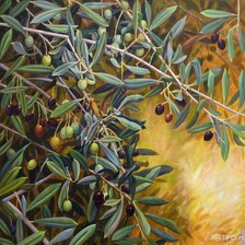 Схема вышивки «Ветви оливы»