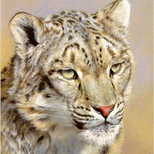 Схема вышивки «киска»