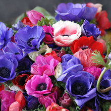 Схема вышивки «№378535»