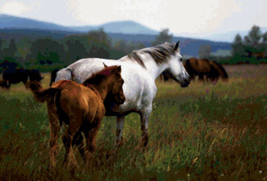 №378556 - предпросмотр