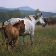 Схема вышивки «№378556»