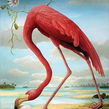 Схема вышивки «Фламинго»