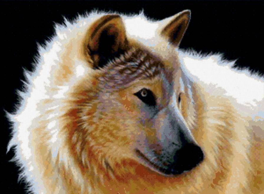 белый волк - предпросмотр