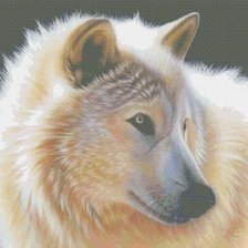 Схема вышивки «белый волк»