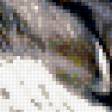 Предпросмотр схемы вышивки «Кошка» (№378612)