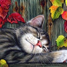 Схема вышивки «Кошка»