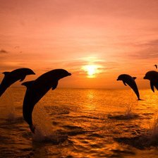 Схема вышивки «№378711»