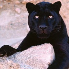 Схема вышивки «№378735»