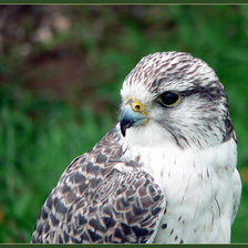 Схема вышивки «№378741»