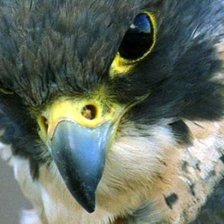 Схема вышивки «№378744»