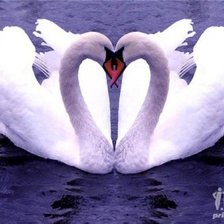 Схема вышивки «№378748»