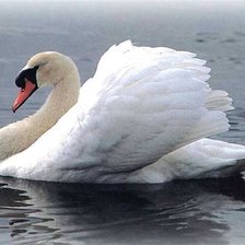 Схема вышивки «№378754»