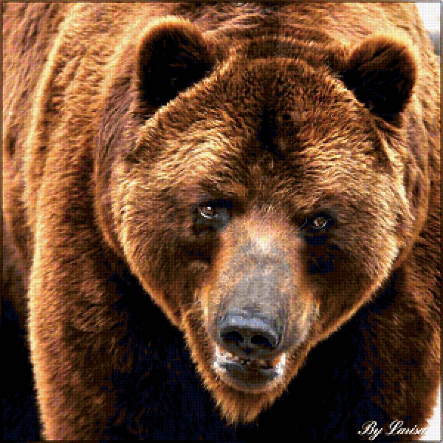 №378764 - предпросмотр