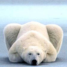 Схема вышивки «№378773»