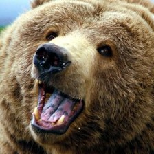 Схема вышивки «№378777»