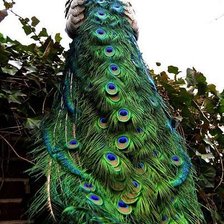 Схема вышивки «№378784»