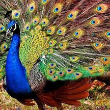 Схема вышивки «№378789»