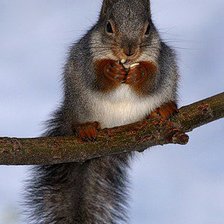 Схема вышивки «№378803»