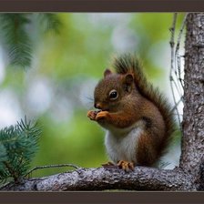 Схема вышивки «№378809»