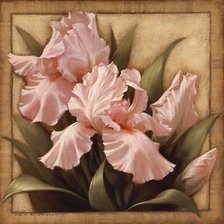 Схема вышивки «№378831»