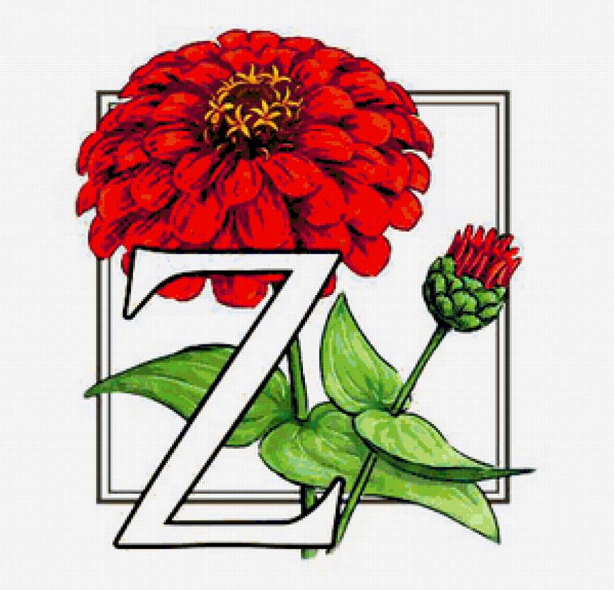 цветок - алфавит, цветы, цветок - предпросмотр