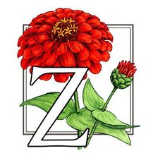 Схема вышивки «цветок»