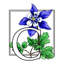 Схема вышивки «цветок»