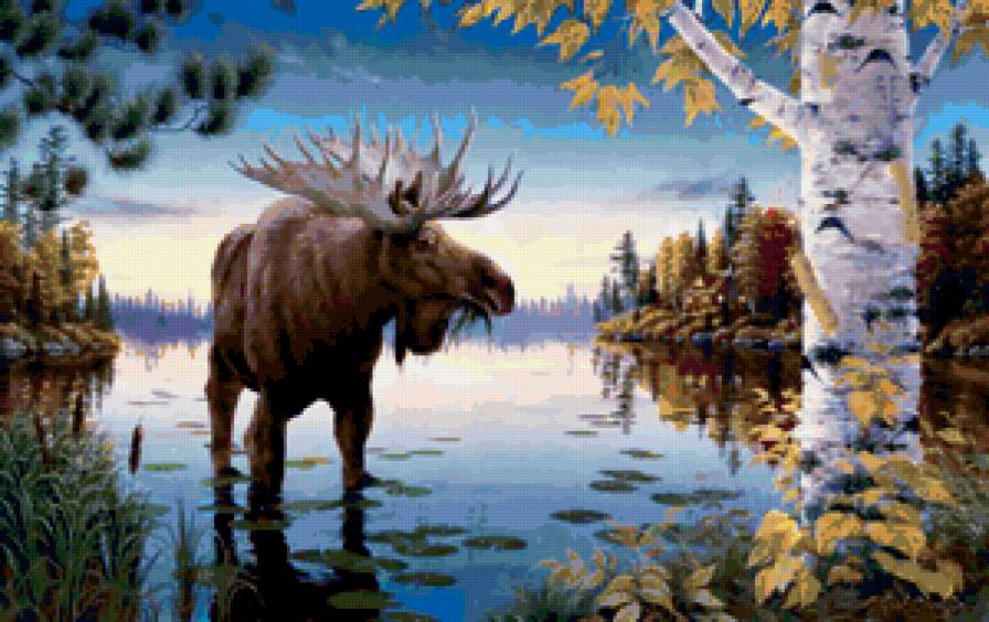 Пейзаж, лес, река, лось - лось, лес, река, пейзаж - предпросмотр