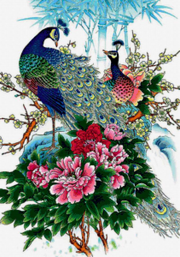 Пара павлинов - цветы, птицы, павлины - предпросмотр