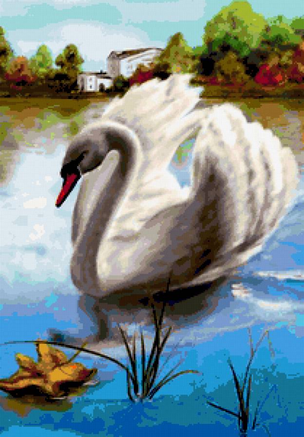 Осень и лебедь - листья, листопад, осень, озеро, лебедь, лебеди, пейзаж, птицы - предпросмотр