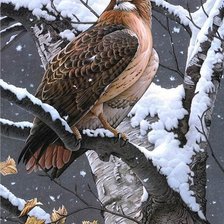 Схема вышивки «дикая природа»