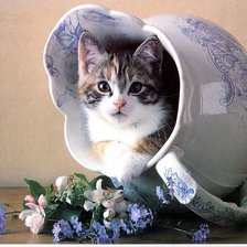 Схема вышивки «Кошечка в кувшине»