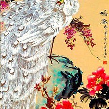 Схема вышивки «павлин»