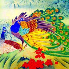 Схема вышивки «павлин»