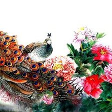 Схема вышивки «павлин»