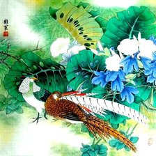 Схема вышивки «павлин»