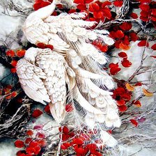 Схема вышивки «павлин»