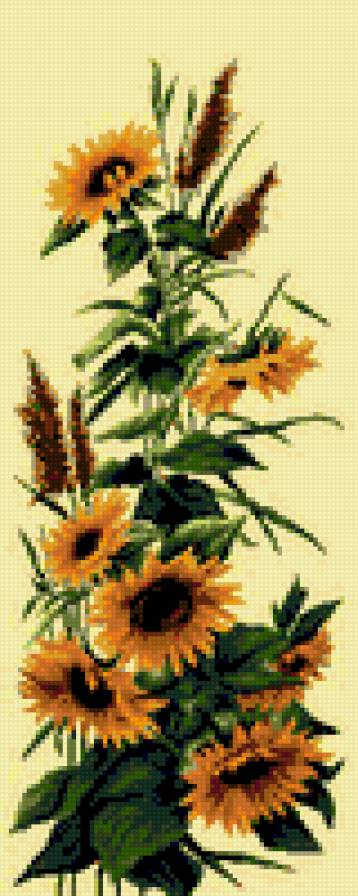 napraforgó - предпросмотр