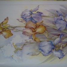 Схема вышивки «ирисы»