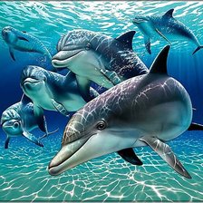 Схема вышивки «дельфины»