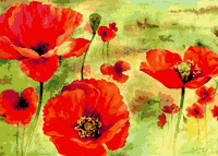 акварель - маки - предпросмотр